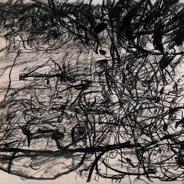 Landscape of the Webb by Mike Parr, Image 1.