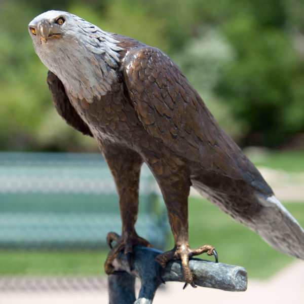 Patient Warrior (Permanent Public Art) by Christopher Romero, Image 1.