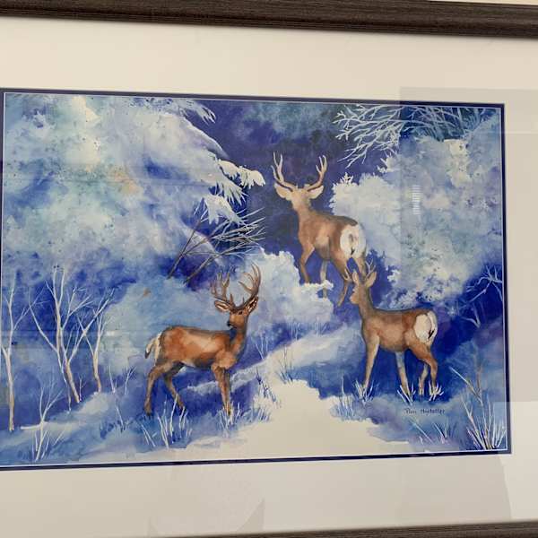 Snow Deer by Pam Hostettler, Image 1.