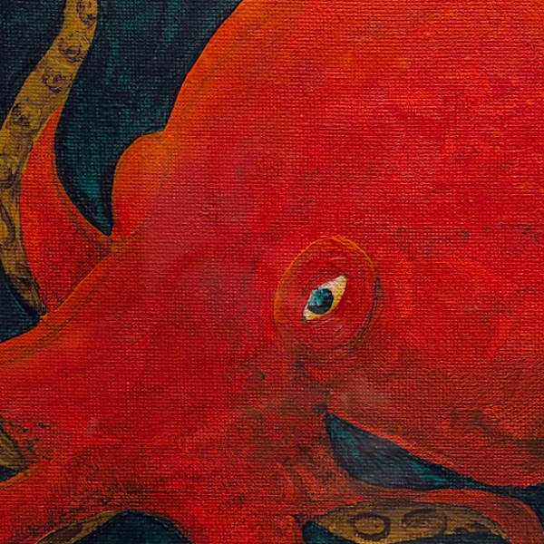 Seeing Red by Molly Binning, Image 8.