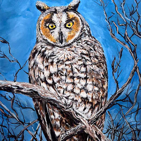 Night Owl by Sheri Krause, Image 1.