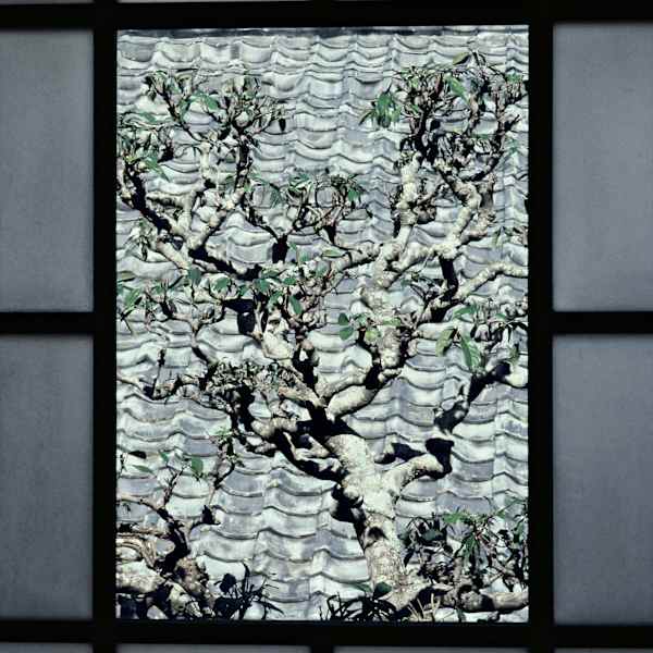 Window at Tomoe Ryokan, Hagi, Japan by Sam Abell, Image 19.