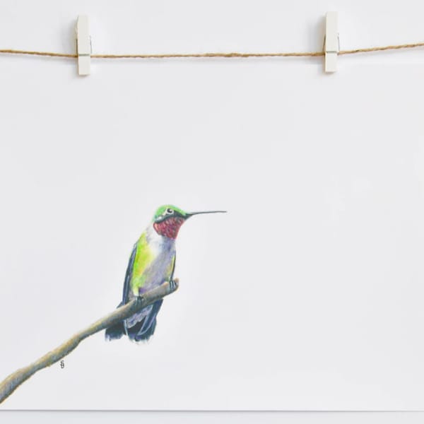 Ruby-throated Hummingbird by Sam Brunson, Image 1.