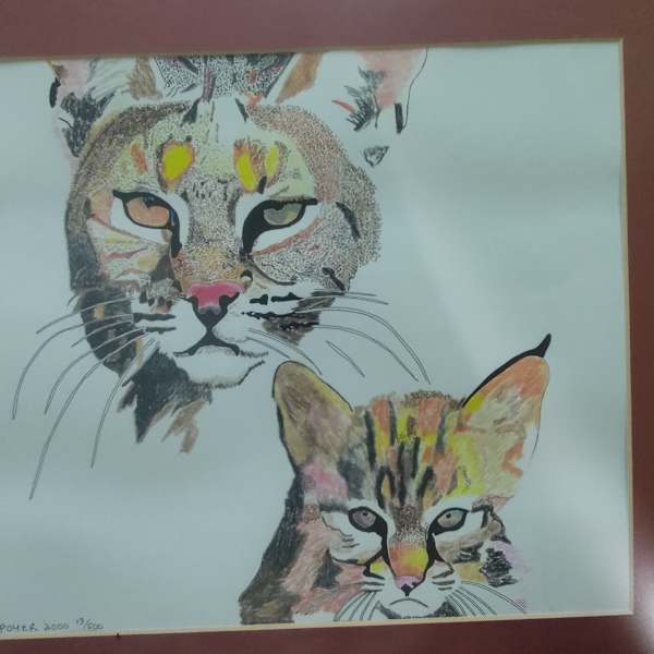 Mother Cougar and Cub by Lynn J. Poyer, Image 1.