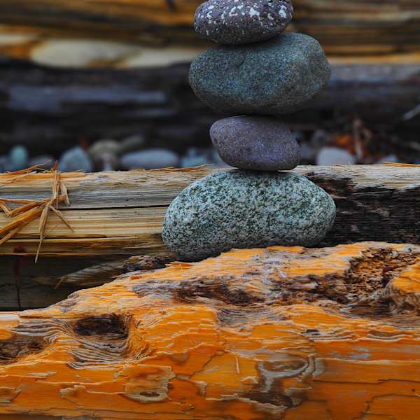 Driftwood and Stones, Goldsmiths Inlet by Susan Saunders, Image 1.
