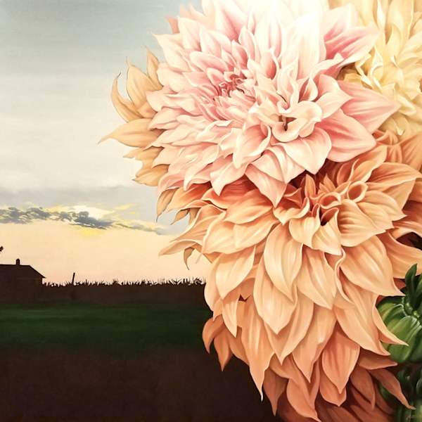 NORTH FORK DAHLIAS by Jean Marie Bucich, Image 1.