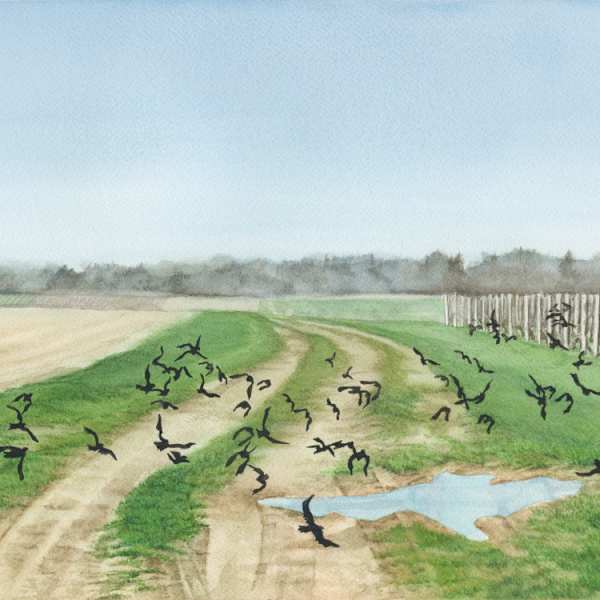 Blackbirds by Madeline Daversa, Image 1.