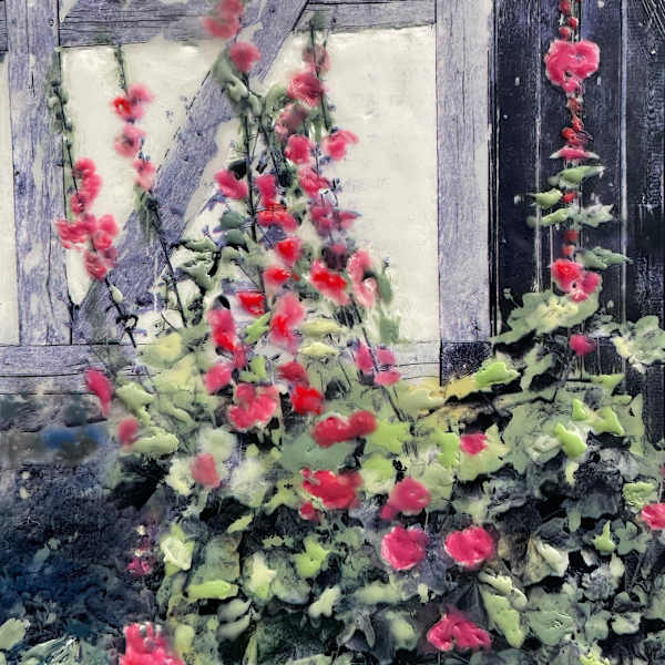 Danish Hollyhocks by Heather Leigh Douglas, Image 7.