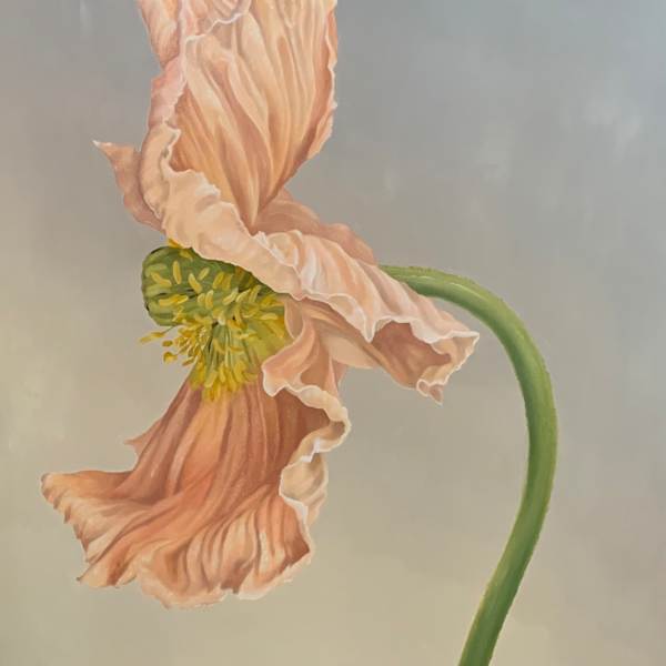 ARABESQUE by Jean Marie Bucich, Image 1.