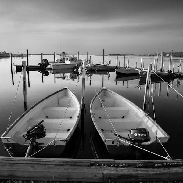 Silly Lilys Fishing Station by Raymond Germann, Image 3.
