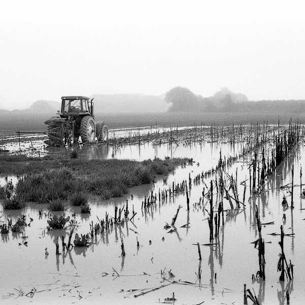 Springs East Hampton by Dave Johns, Image 1.