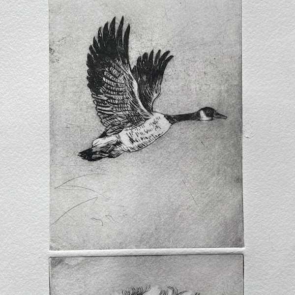Loose Feather by Larissa Grass, Image 1.