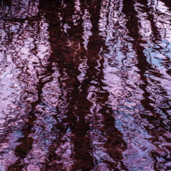 Moonlit, #3 by Jo Anne Dumas, Image 1.