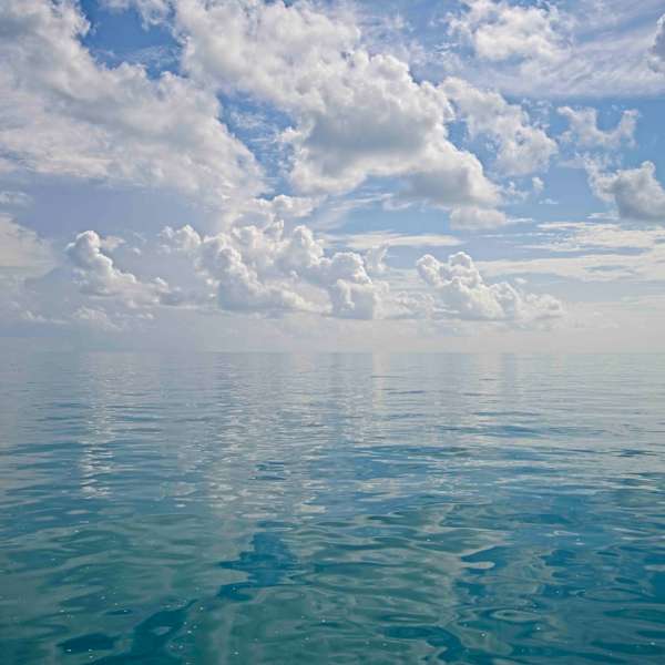 Tortuga Bound by Ron Garofalo, Image 1.