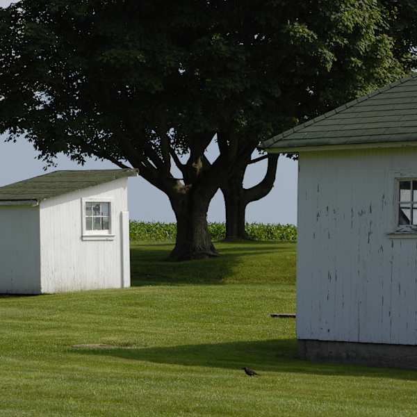 Oregon Road by Patricia Yancovitz, Image 1.