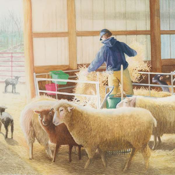 Sheep by Madeline Daversa, Image 1.