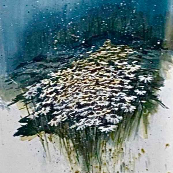 Daisy Blues by Rita Berschauer, Image 1.