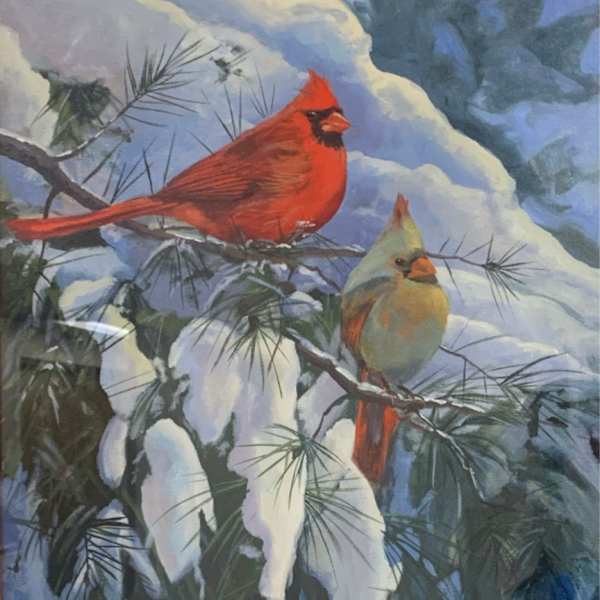 Cardinals by Cally Krallman, Image 1.