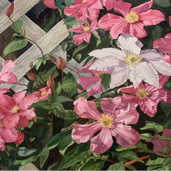 Clematis by Ellen Duncan, Image 1.