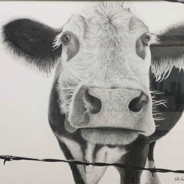 Curious Friend by Katie Long, Image 1.