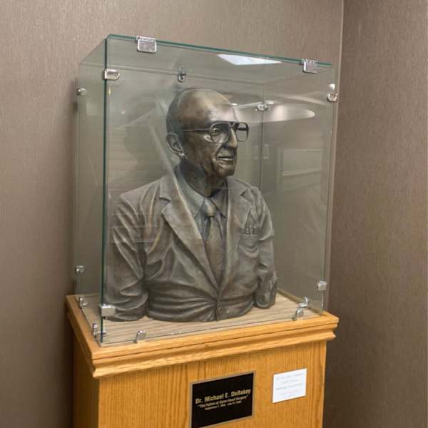 Dr. Debakey by Omer Knoll, Image 1.