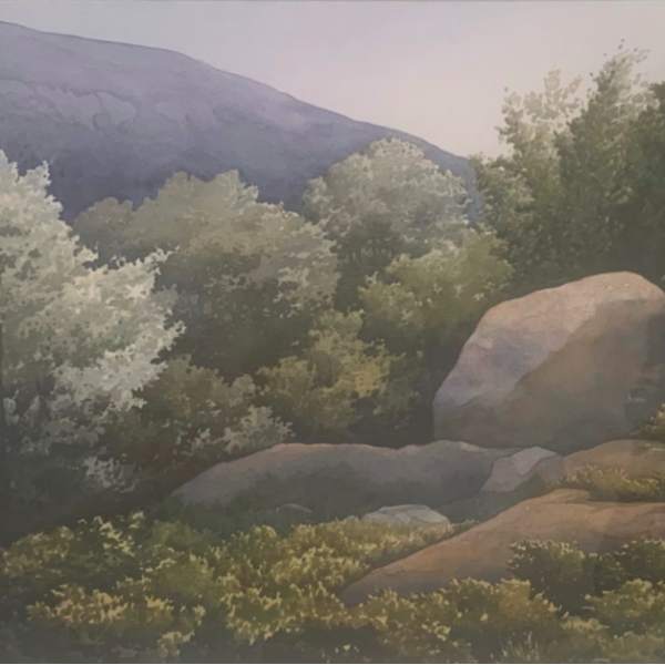 Fading Light by Susan Lynn, Image 1.