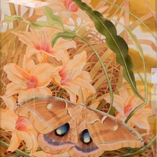 Polyphemus Moth by John Cody, Image 1.