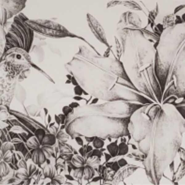 Serenade by Paula Huser, Image 1.