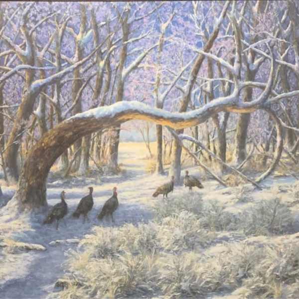 Turkeys on the Smokey by Patricia Norton, Image 1.
