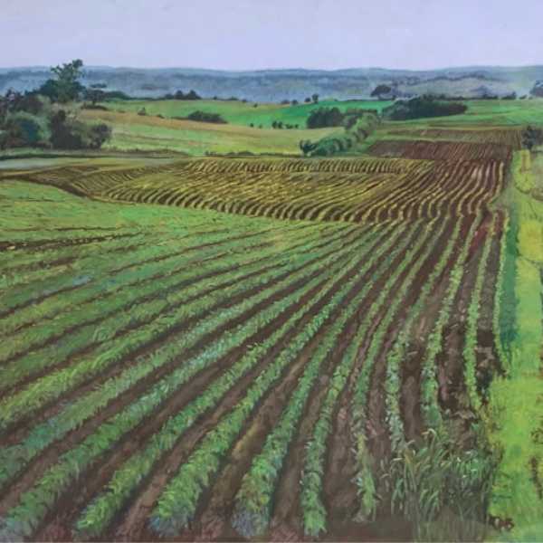 Wet Fields by Alice Broughton, Image 1.