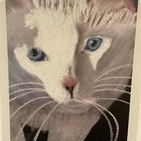 Tali, Up Close & Personal by Marlene D. Cohen, Image 2.
