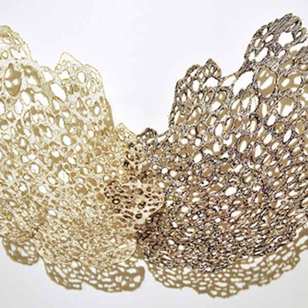 Dendritic Lace Formation by Liz Aston, Image 2.