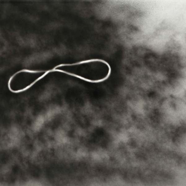 Corona 1 by Tim Whiten, Image 2.
