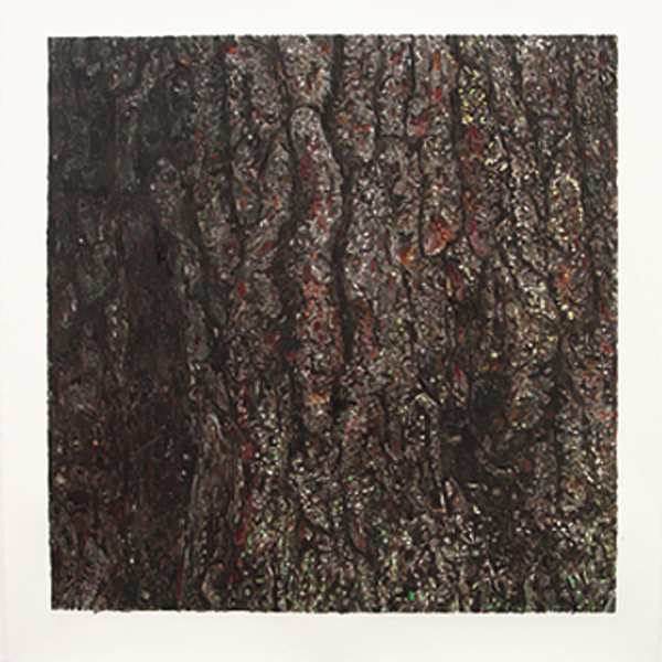 White Pine by Robert Wiens, Image 2.