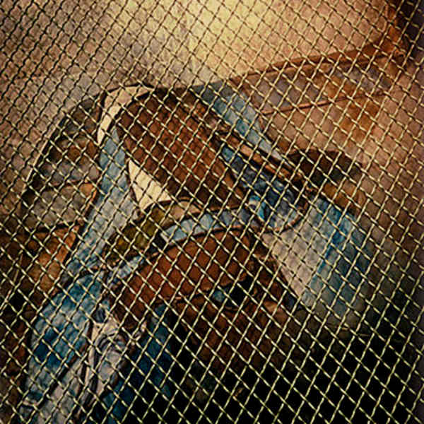 Laminas #5 by Luis Mallo, Image 2.