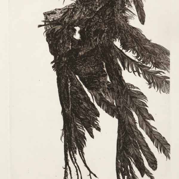 Crow II by Paul Fournier, Image 1.