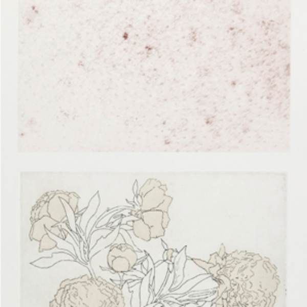 The Gardener by Suzy Lake, Image 1.