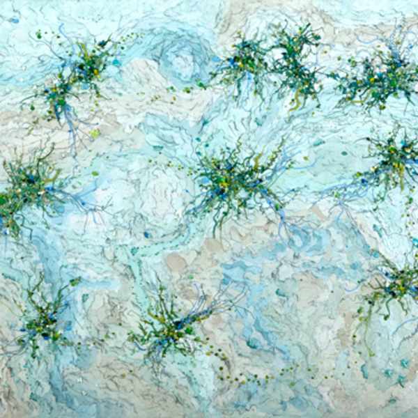 Rhizo thalli by Meghan McKnight, Image 2.