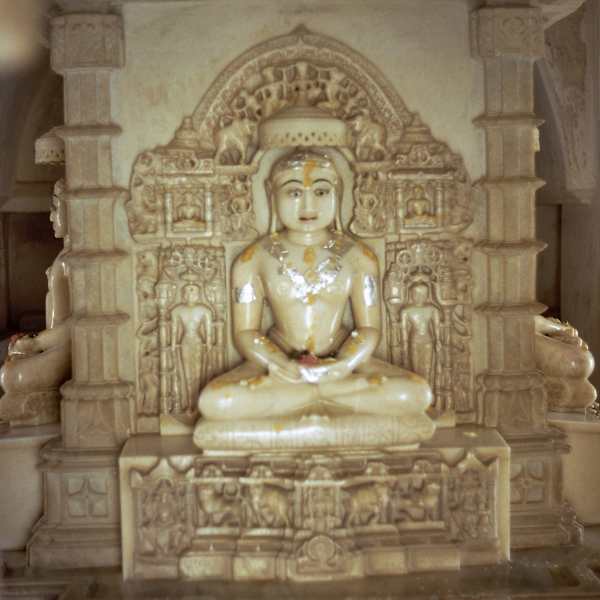 35. Dharna Vihara by Ranakpur, Rajasthan, Image 2.
