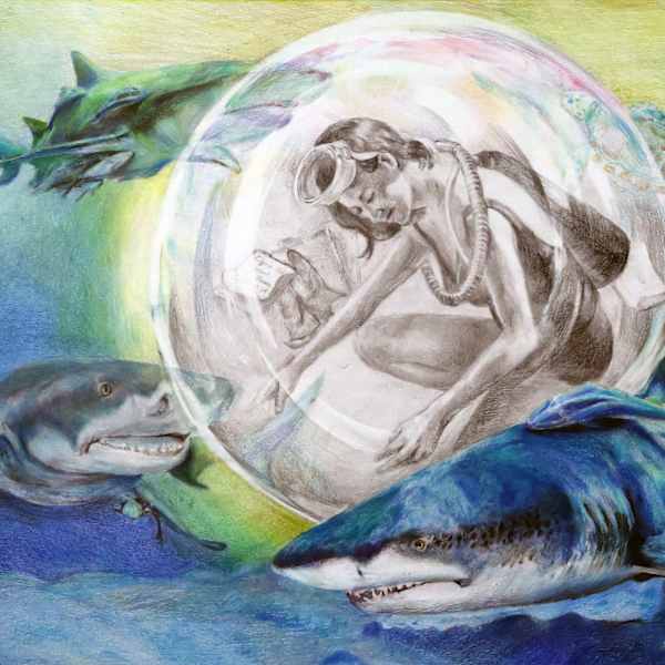 More Than Just Sharks by Allie Quan, Image 1.