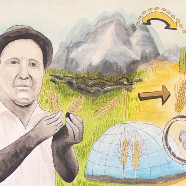 Borlaug's Innovation by Vincent Yao, Image 1.