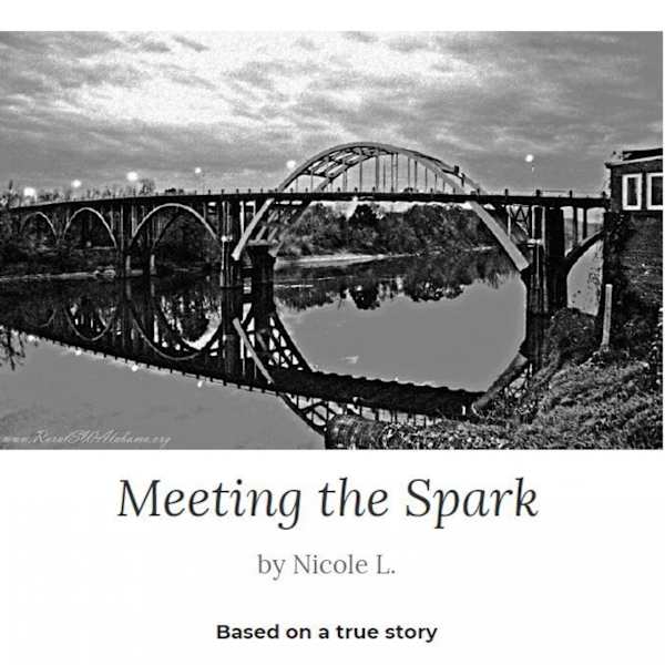 Meeting the Spark by Nicole Link, Image 1.