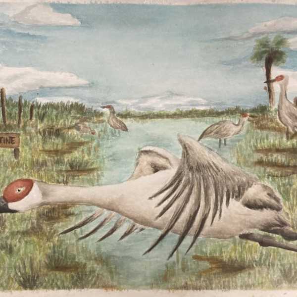 Jacob Valentine's Cranes by Katie Kovalchick, Image 1.
