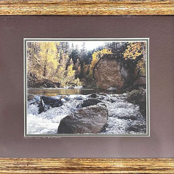 Spearfish Canyon Goes Blonde by Heidi Watson, Image 4.
