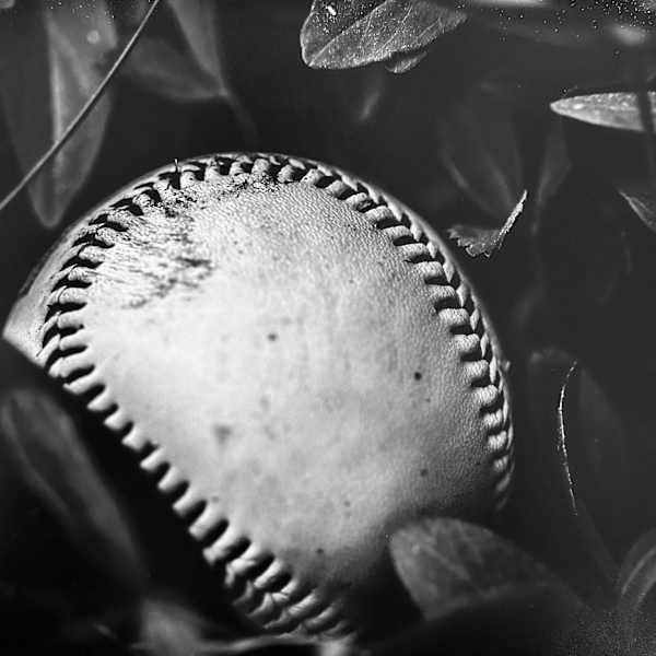 Field of Forgotten Dreams by Tobias Steeves, Image 8.