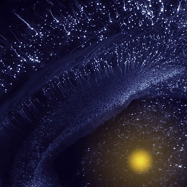 Out of the Void (Part 1) by Gina Gibson, Image 8.