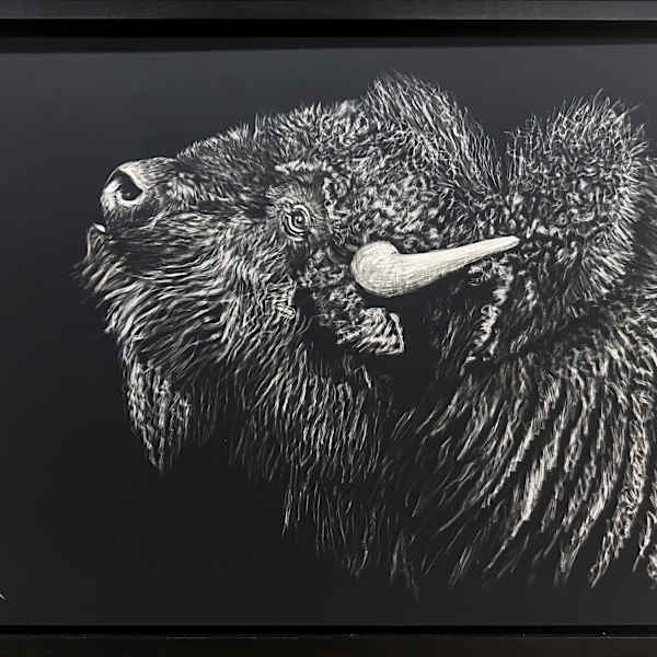 Custer Bull by Denice E. Fox, Image 19.