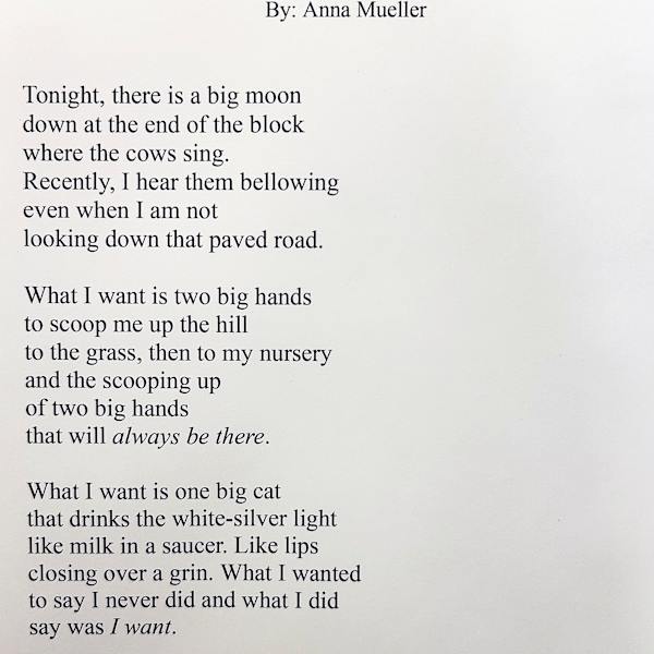 Wanting, Etc. by Anne Mueller, Image 2.