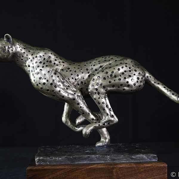 Cheetah by Larry Solomon, Image 2.