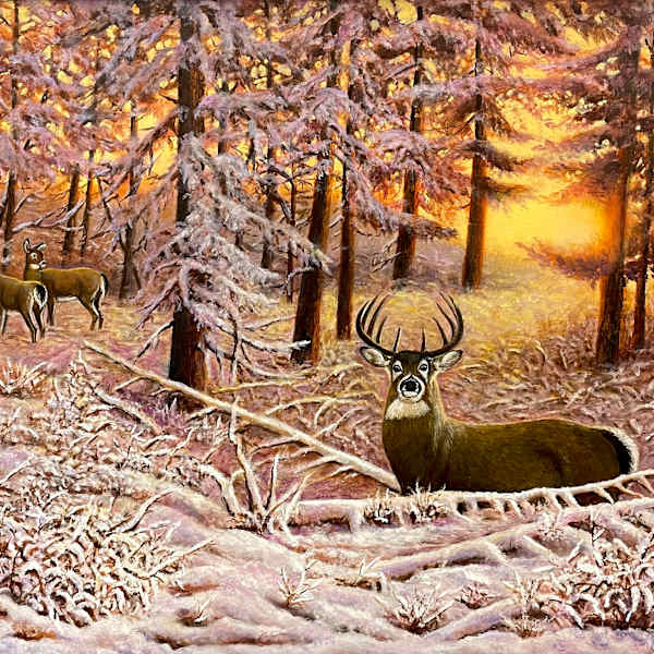 First Snow by Werner Batke, Image 1.